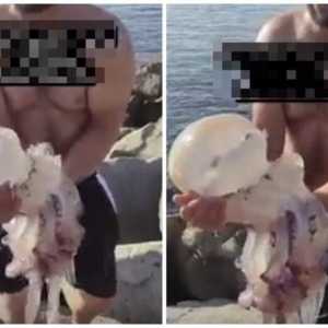 壮男从海里捞“巨头珍珠白怪物”抱起炫耀 3秒后崩溃奔去跳海