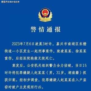 微信群聊天记录曝光 揭开嘉兴夫妻掉头命案细节