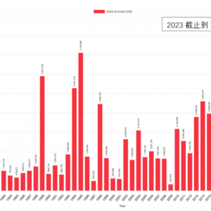 前所未有的加拿大山火还在燃烧 美国超5千万人饱受污染