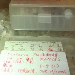 加州破获“华人非法实验室” 发现新冠病毒等20种传染源