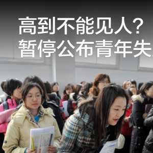 中国暂停公布青年失业率 高到不能见人？网民大表不满