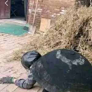 俄军被集束弹痛击 竟逼出“忍者龟”登场.....？