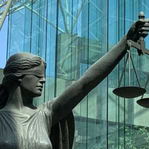 加拿大华裔律师状告中国移民公司 靠这个方法诈省提名佣金