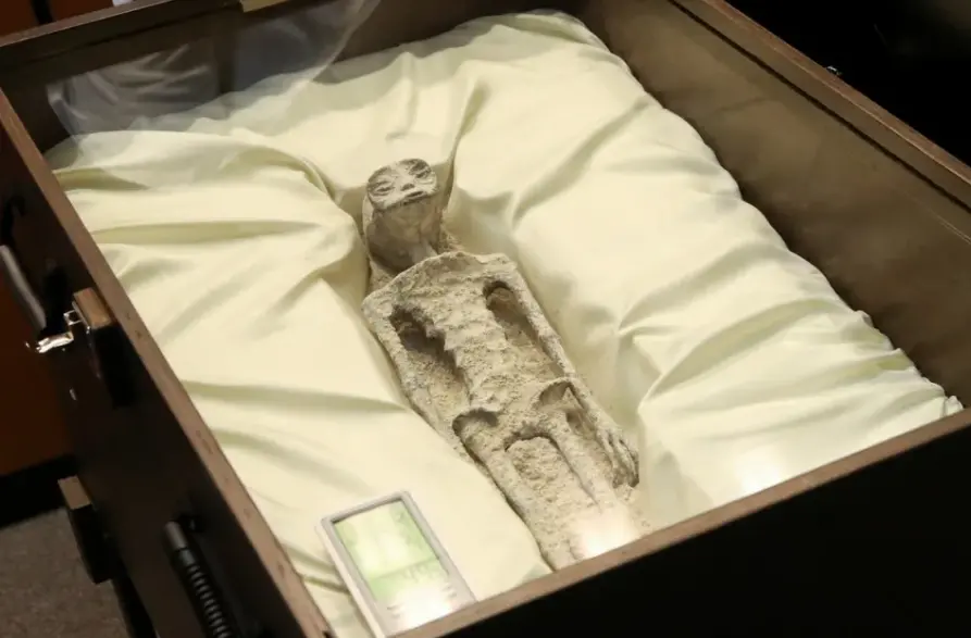 墨西哥国会展出两具“外星人尸体”，据称已有1000年历史
