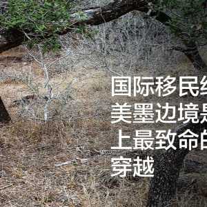 国际移民组织：美墨边境是世界上最致命的陆地穿越