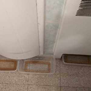 漏水还发霉…纽约法拉盛共管公寓不维修 华人住户叫苦