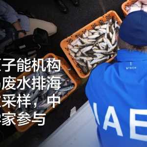 国际原子能机构福岛废水排海后首次采样 中国科学家参与