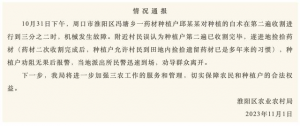 河南农村哄抢一幕幕曝光：我还是低估了“劣根性”