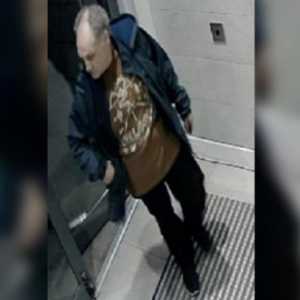 加拿大男子潜入车库砸多台车盗窃