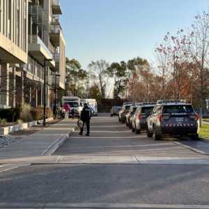 多伦多公寓女子被捅当场身亡