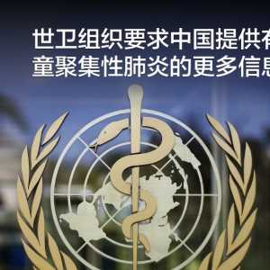 世卫组织要求中国提供有关儿童聚集性肺炎的更多信息