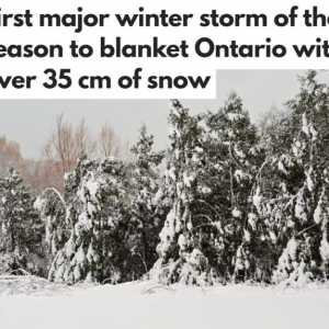 第一场雪暴袭击安省，降雪量超35厘米，约克区北部影响较大