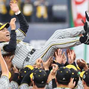 日本流行语大赏揭晓 夺冠的是…那个