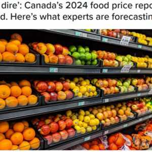 2024年食品价格会涨多少？专家说有一个好消息