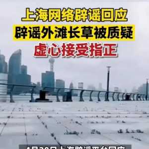 上海媒体辟谣总是很积极，可惜姿势一直不太行