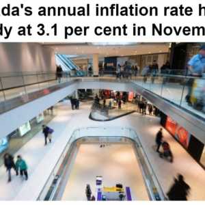 加拿大统计局发布11月通胀率保持在3.1%不变