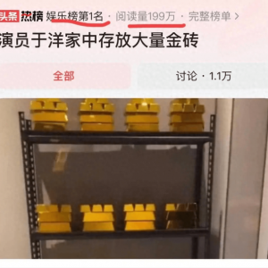 演员于洋金库曝光，存放4吨黄金价值20亿？