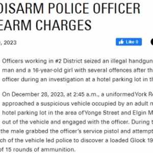 惊！加拿大男子在酒店企图抢夺警察配枪