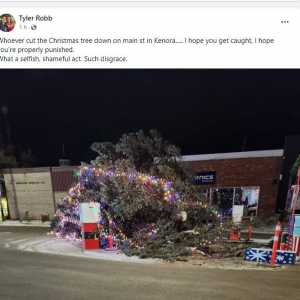 主街上的巨型圣诞树被人砍倒！震惊全市