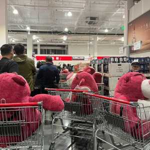 Costco深圳店12日开业 爱马仕包开卖16分钟后秒杀光