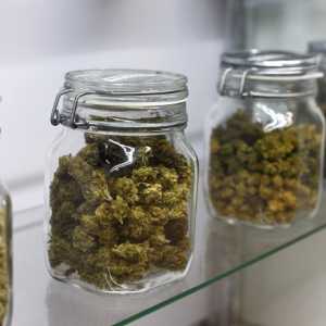 加拿大皇家骑警放宽警员吸食大麻政策 执勤时状态”适合“就行