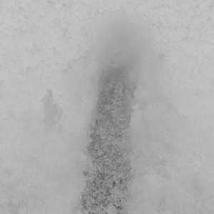 武汉暴雪冲上热搜第一！这场雪到底有多大？