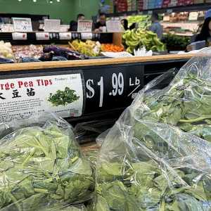 加州暴风雨 蔬菜大跌价 豆苗2折 原因是...