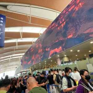 她放弃绿卡 未料回到中国难题更多
