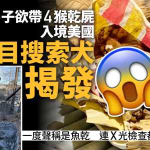 美机场犬嗅出“木乃伊” 男子带4干尸辩称“是鱼乾”