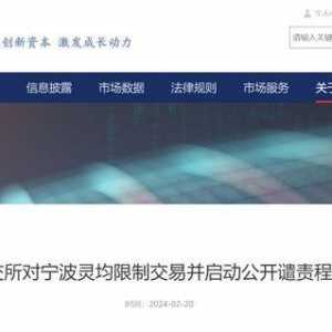 开盘60秒狂卖沪深股票25亿 中国私募巨头道歉
