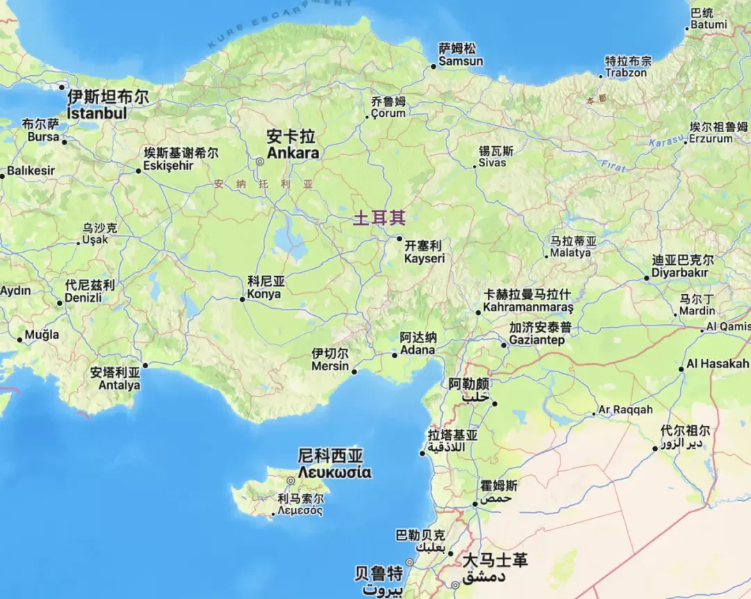 埃尔多安的惨败与“经济学之死”