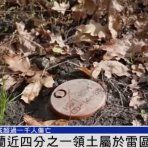 “乌克兰近1/4领土属于雷区，已致超千人伤亡”