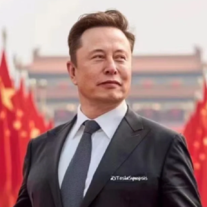 如果特朗普输了，马斯克可能就要来中国发展了
