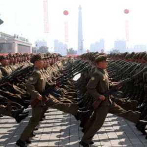 美国：预计八千朝鲜士兵将在乌克兰投入作战行动