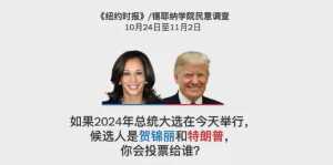 纽约时报：摇摆州选情有多胶着？