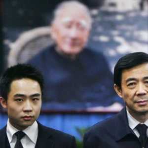 薄瓜瓜在加拿大公司任职 曾发文悼念外婆
