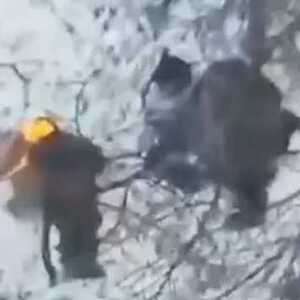 朝鲜士兵阵亡 俄军掩盖身份焚毁其脸部 视频曝光…