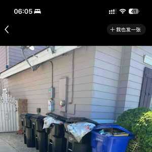 拆家、衣柜住人？印度房客给素里华人房东整破防了！全球房东受害者联盟大吐苦水!