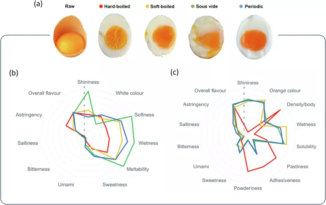 不同煮鸡蛋方法综合对比分析。图 a 为生鸡蛋、全熟蛋（红色）、半熟蛋（黄色）、低温慢煮蛋（绿色）和周期性煮蛋（蓝色）的照片。b和c分别为对蛋清和蛋黄进行感官分析的结果，评价指标包括：Shininess（光泽度）、Overall flavour（总体风味）、Astringency（涩味）、Saltiness（咸味）、Bitterness（苦味）、Umami（鲜味）、Sweetness（甜味）、Meltability（融化性）、Wetness（湿润度）、Softness（柔软度）等丨参考文献[1]