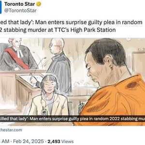 “我杀了那位女士”！多伦多华人男子突然承认随机杀人，报复医疗和司法不公