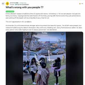 炸裂！赏樱季加拿大印度人无下限操作看呆众人！狂薅樱花树折枝带回家！厕所惊现这个标语！