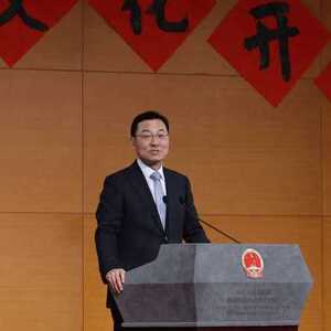 谢锋引中医概念暗批美关税战：自己生病让别人吃药