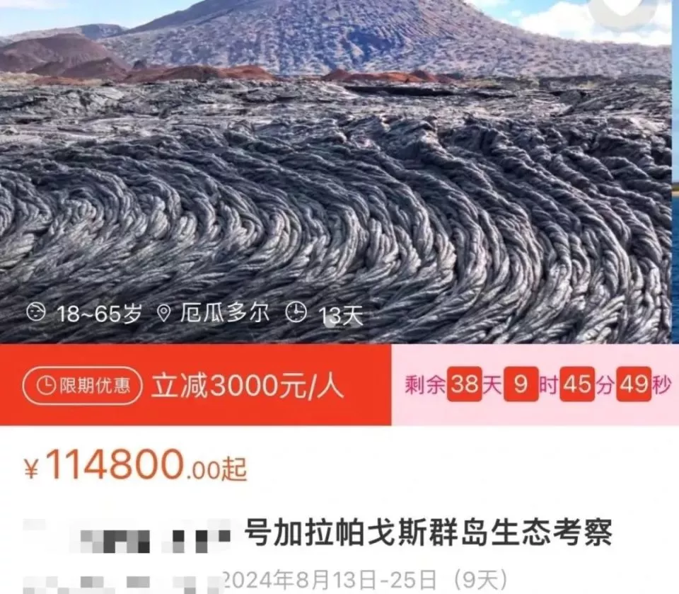 第一批参加科考旅行的中产，已经返贫了
