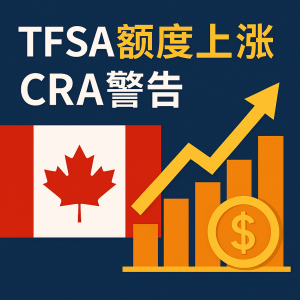 2026 年 TFSA 额度，理财专家提醒：别因“额度混乱”被罚款