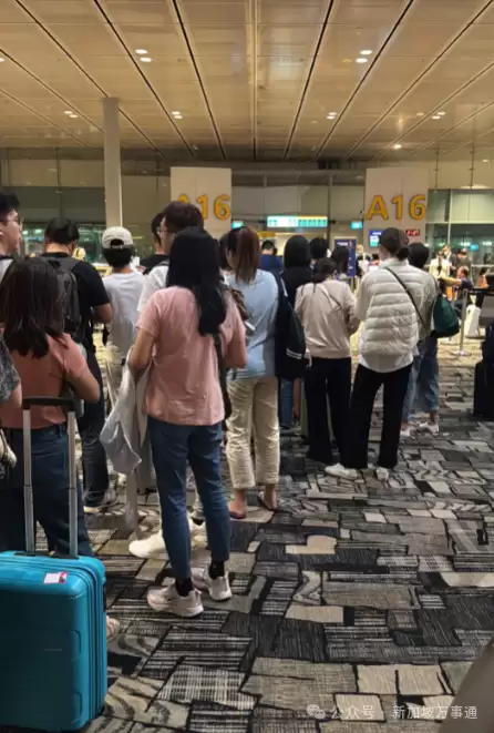 超百人被困新加坡机场 新加坡航空被吐槽服务滑坡
