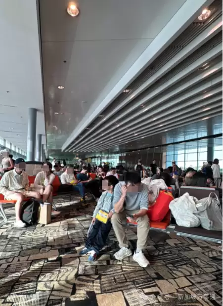 超百人被困新加坡机场 新加坡航空被吐槽服务滑坡