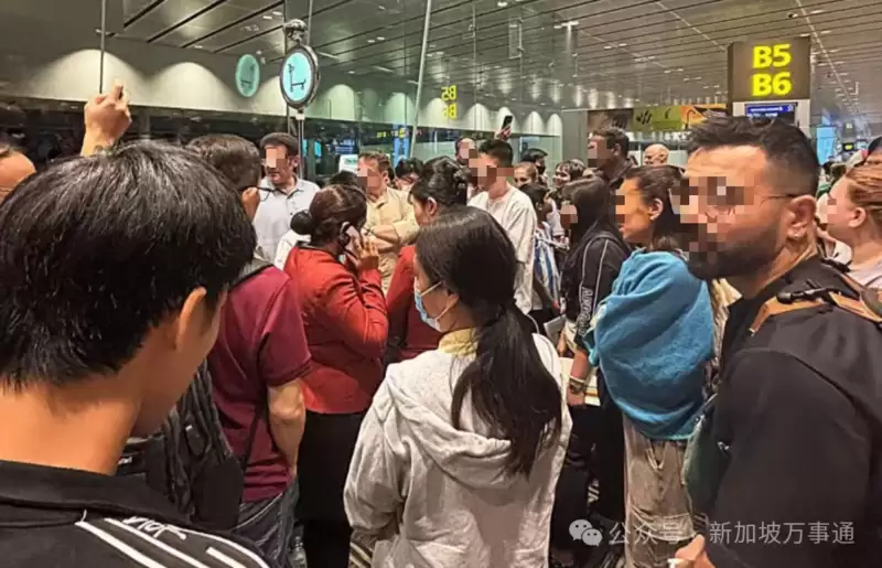 超百人被困新加坡机场 新加坡航空被吐槽服务滑坡