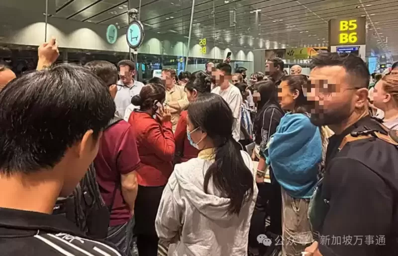超百人被困新加坡机场 新加坡航空被吐槽服务滑坡