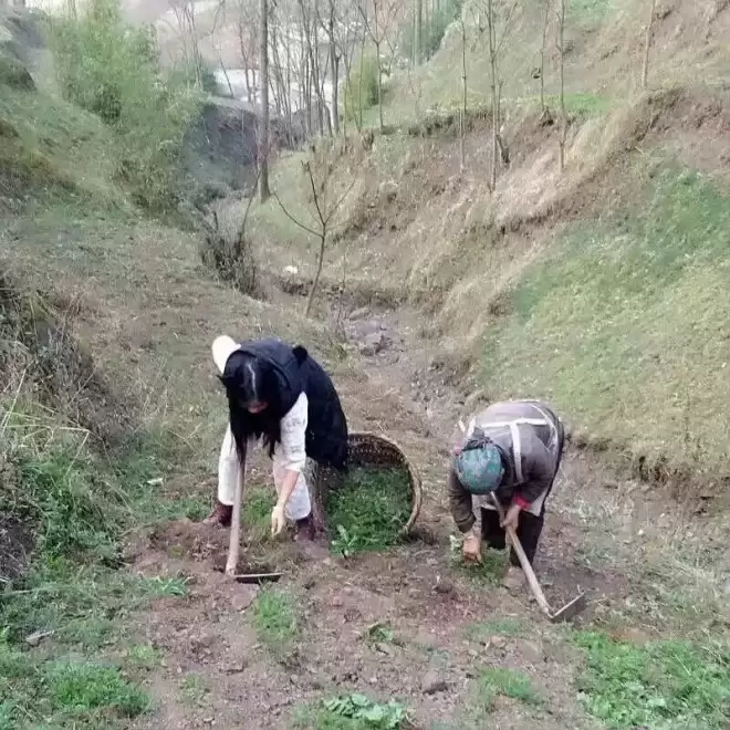 “我的妈妈，总带陌生女孩回家”