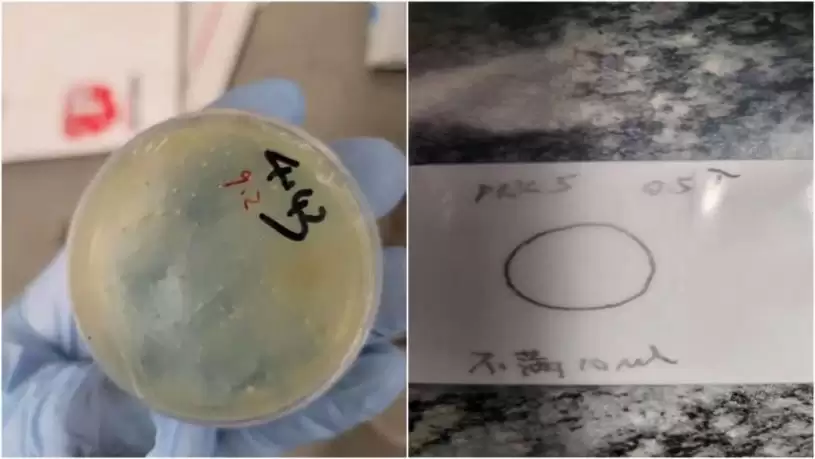 中国博士生在美被指走私生物材料 当局另加控3学者